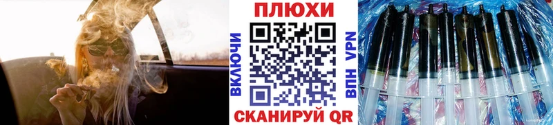ГАШ Premium  Купить  Тихорецк 