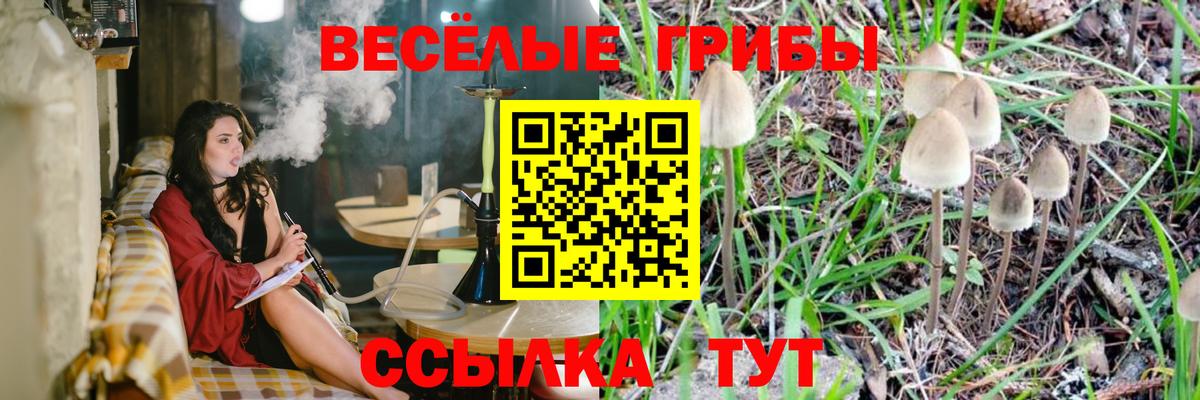 Псилоцибиновые грибы Psilocybe  Вход с VPN  Тихорецк 