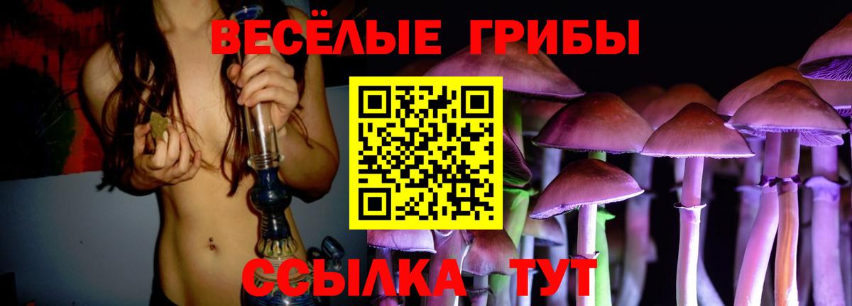 Галлюциногенные грибы MAGIC MUSHROOMS  даркнет сайт  Вход с VPN  Тихорецк  Галлюциногенные грибы мухоморы 