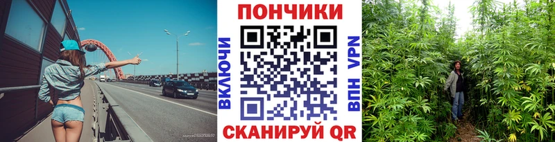Бошки Шишки индика  Купить закладки  Тихорецк 